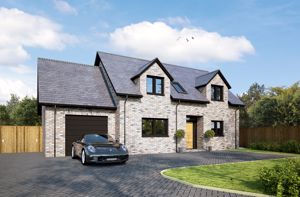 Photo 2- click for photo gallery